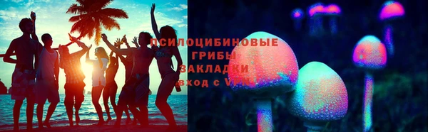 твердый Алзамай