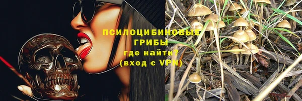 твердый Алзамай